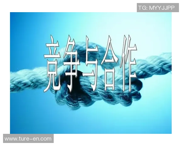 时代中国广州与上海哔哩哔哩的竞争与合作新篇章探讨